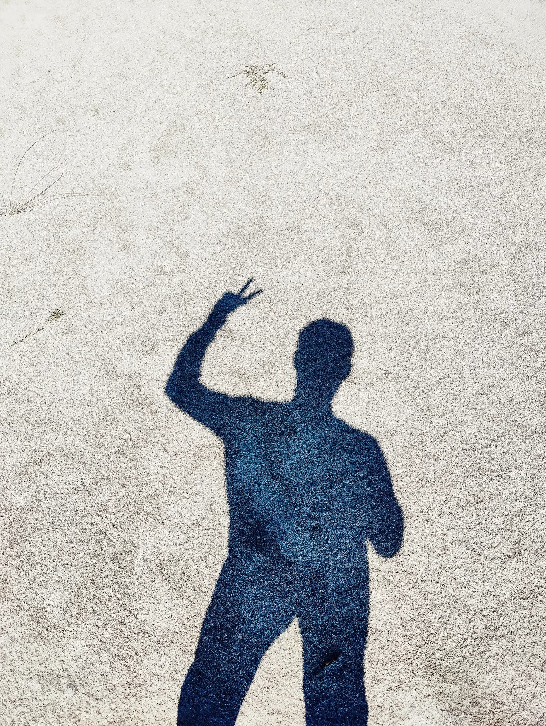 High-contrast shadow of the photographer casting a peace sign on sand